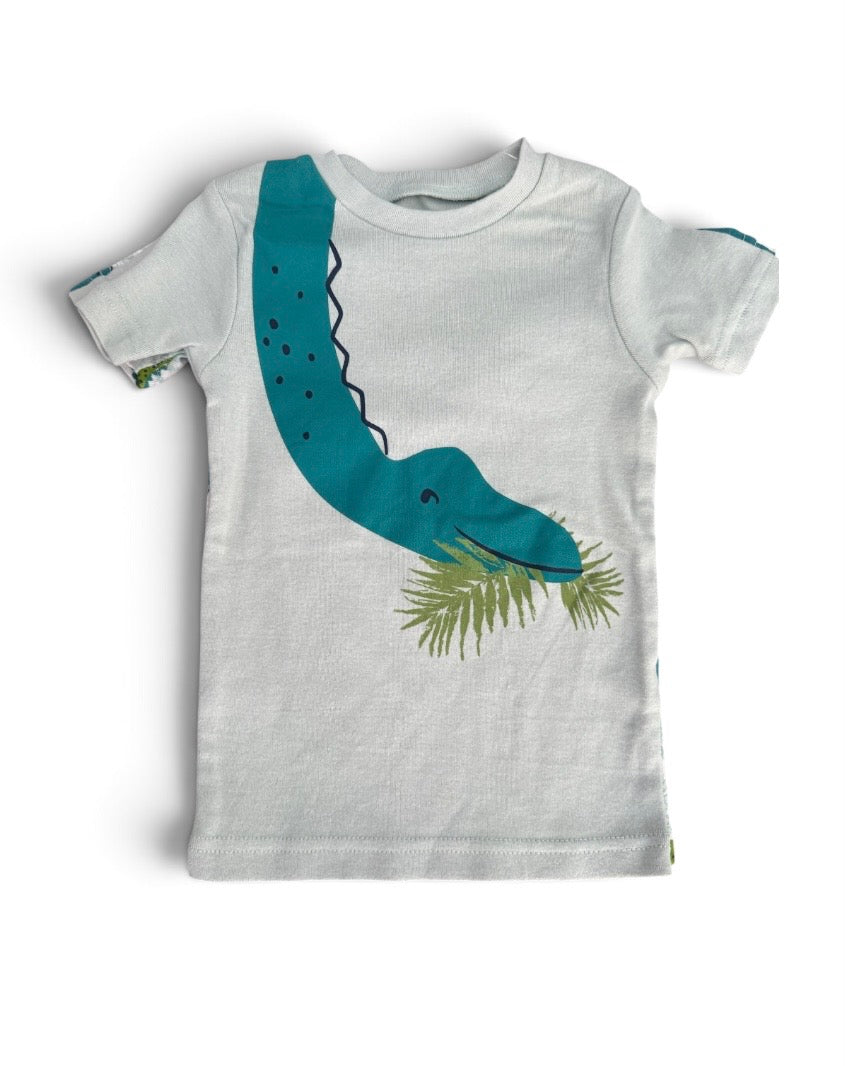 Camisetas Braquiosaurio y T Rex 2 unidades