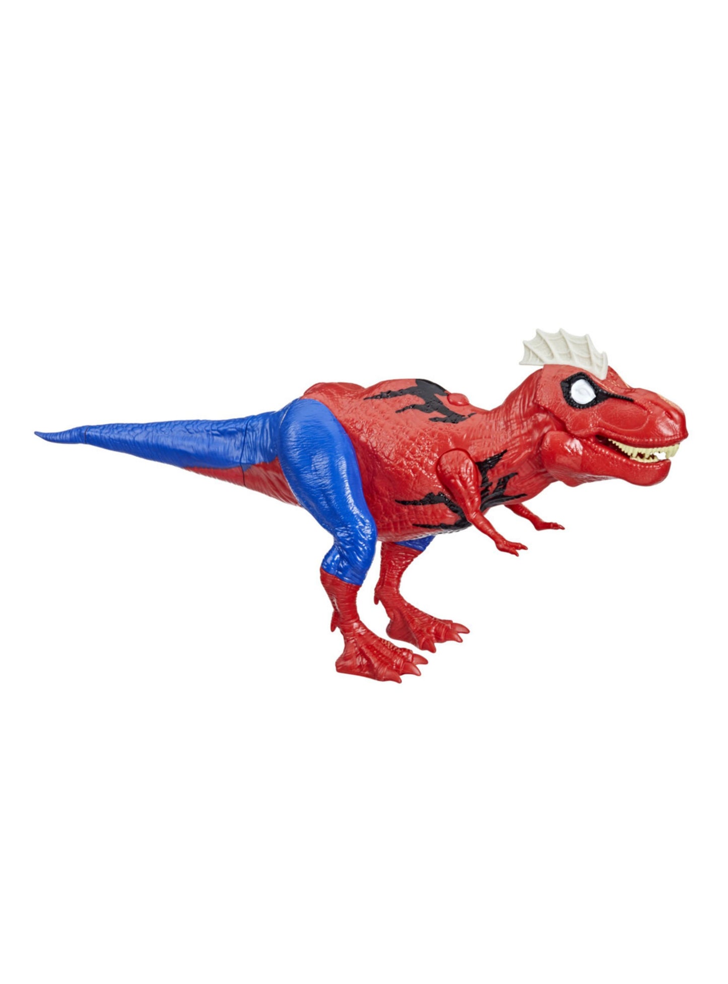 Spider rex