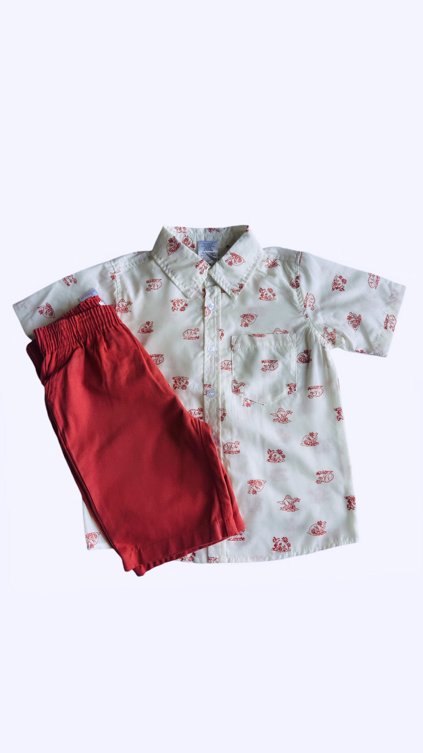 Set camisa y short