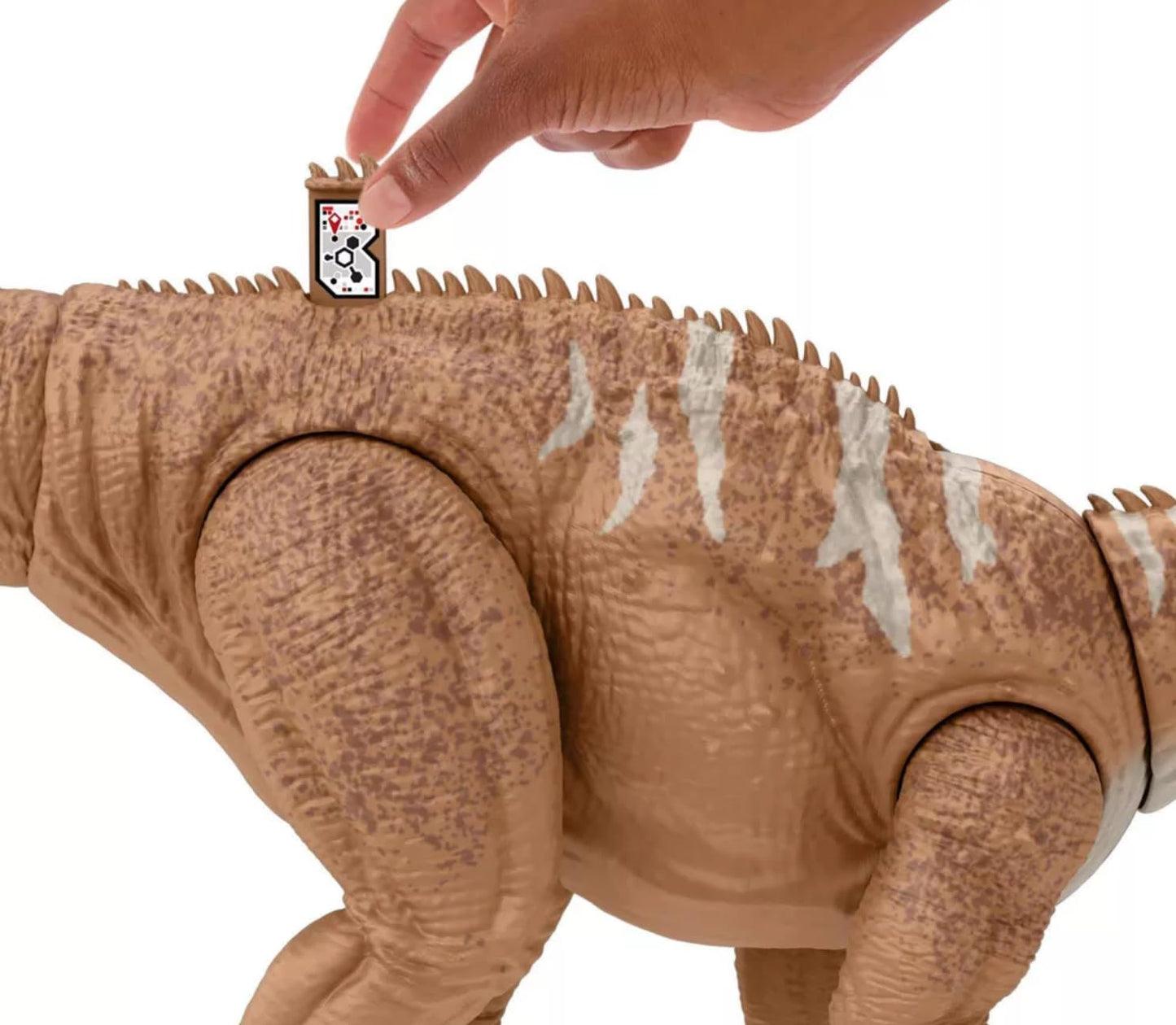 Diplodocus