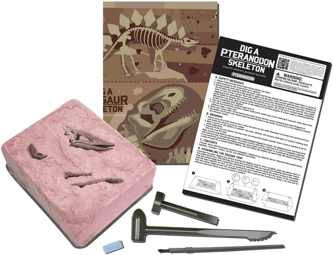 Set Desentierra al Pteranodon Kidzlabs