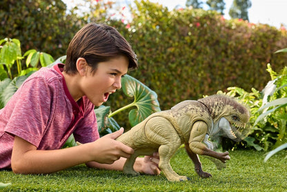 Distortus Rex