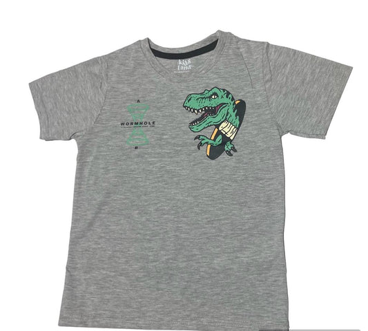 Camiseta gris con Dino verde kids Land