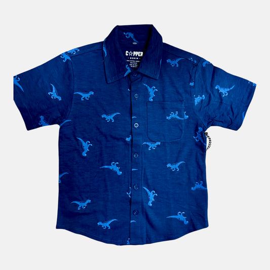 Camisa Botones azul Denis