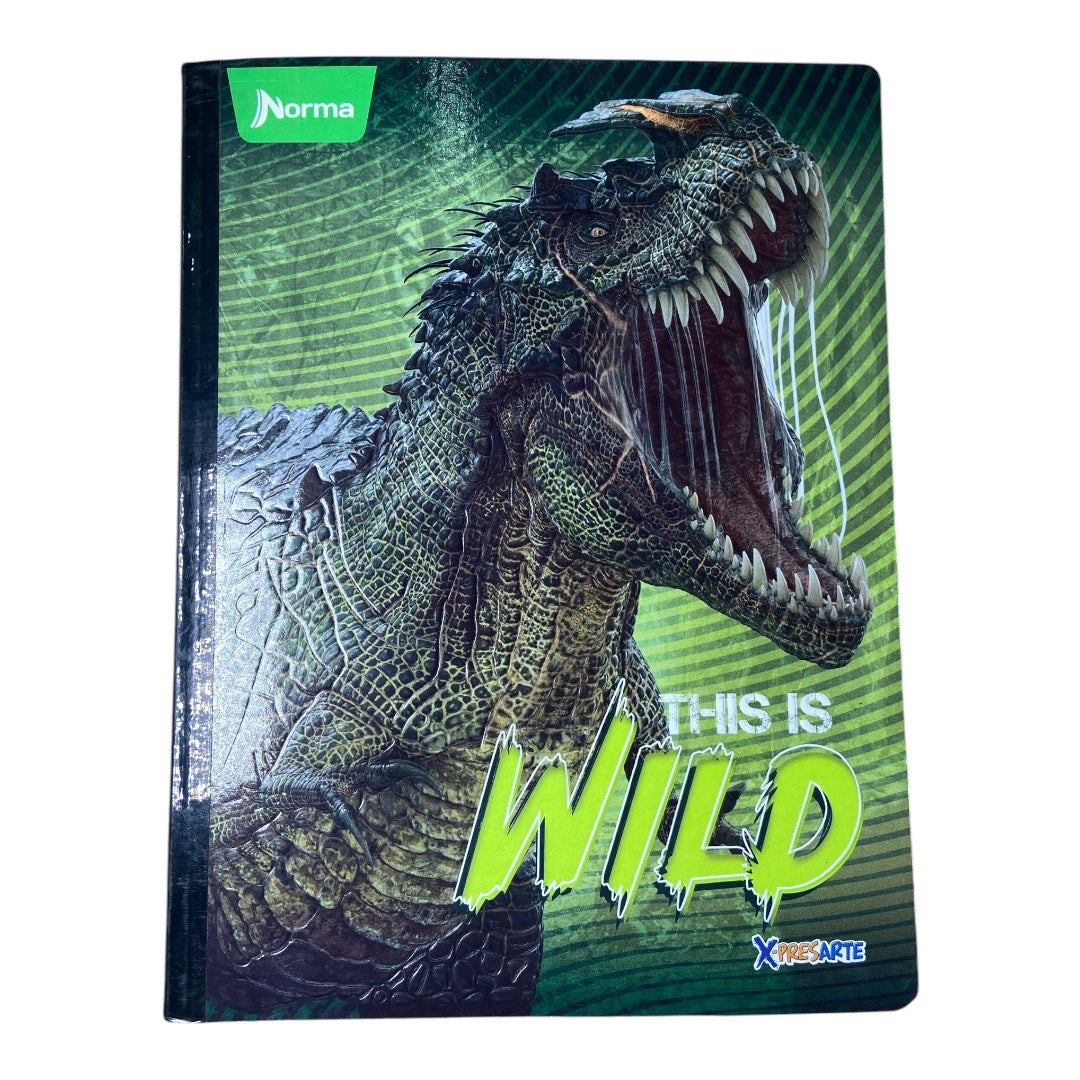 Cuaderno 100 hojas dinosaurios