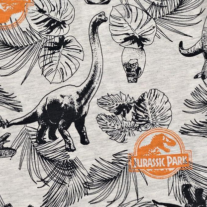 Set Niño Jurassic