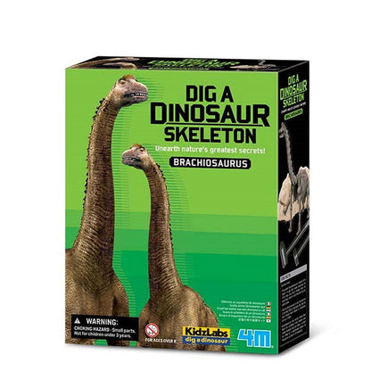 Set desentierra al Braquiosaurio kidzlabs