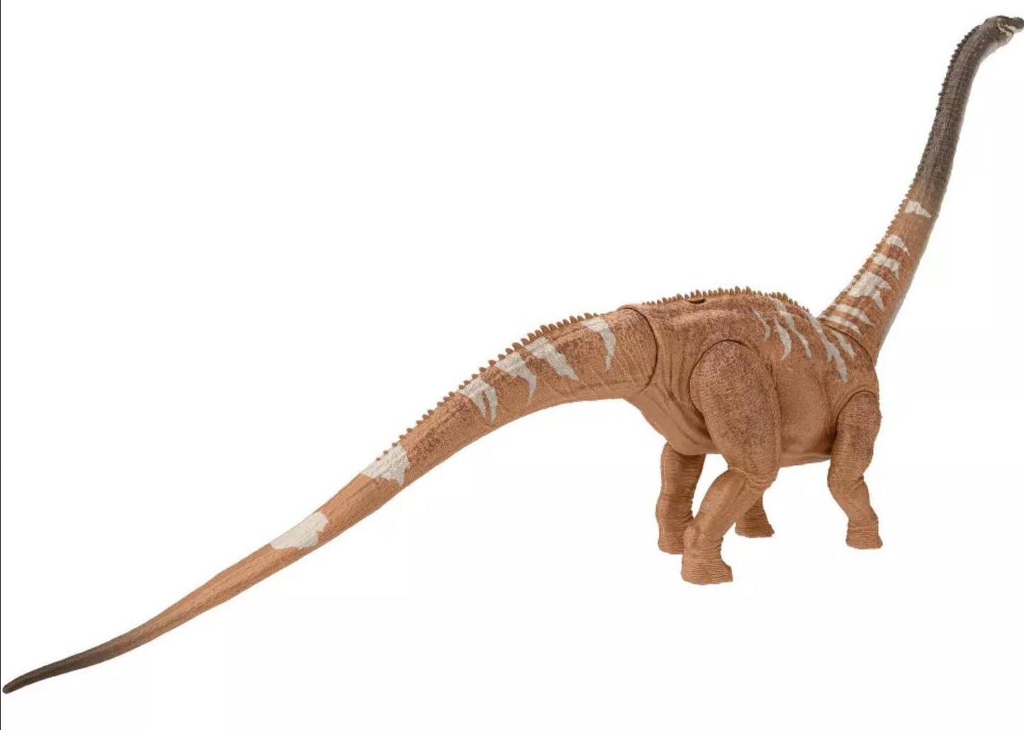 Diplodocus