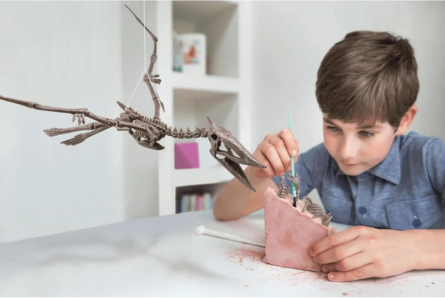 Set Desentierra al Pteranodon Kidzlabs