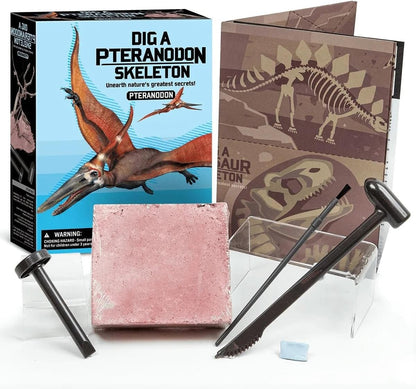 Set Desentierra al Pteranodon Kidzlabs