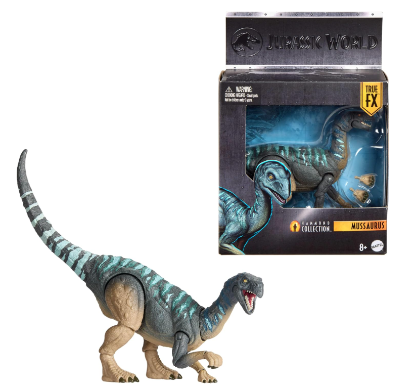Mussaurus Hammond Collection