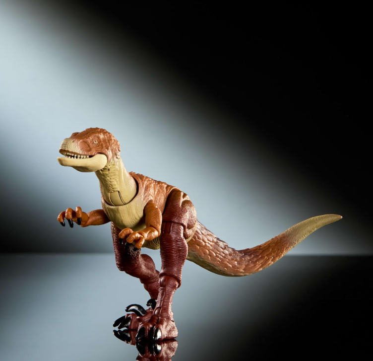 Ornitholestes Hammond Collection