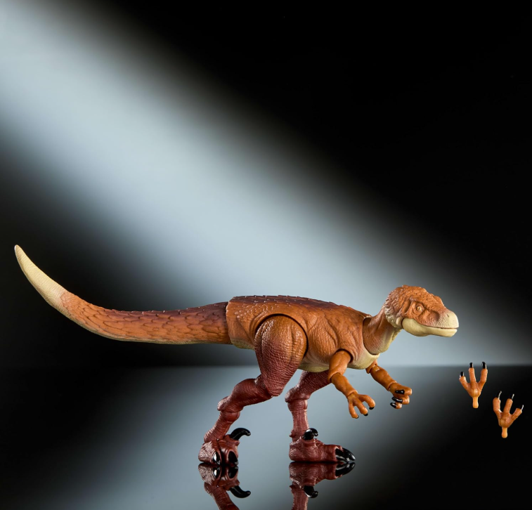 Ornitholestes Hammond Collection
