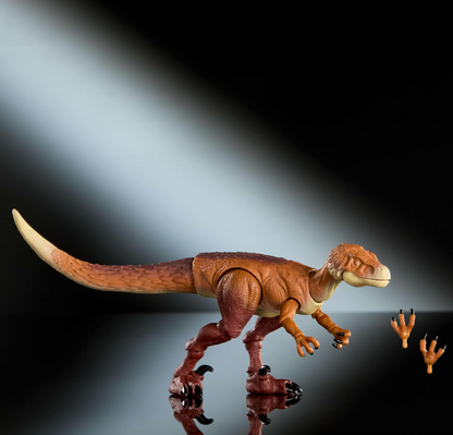 Ornitholestes Hammond Collection
